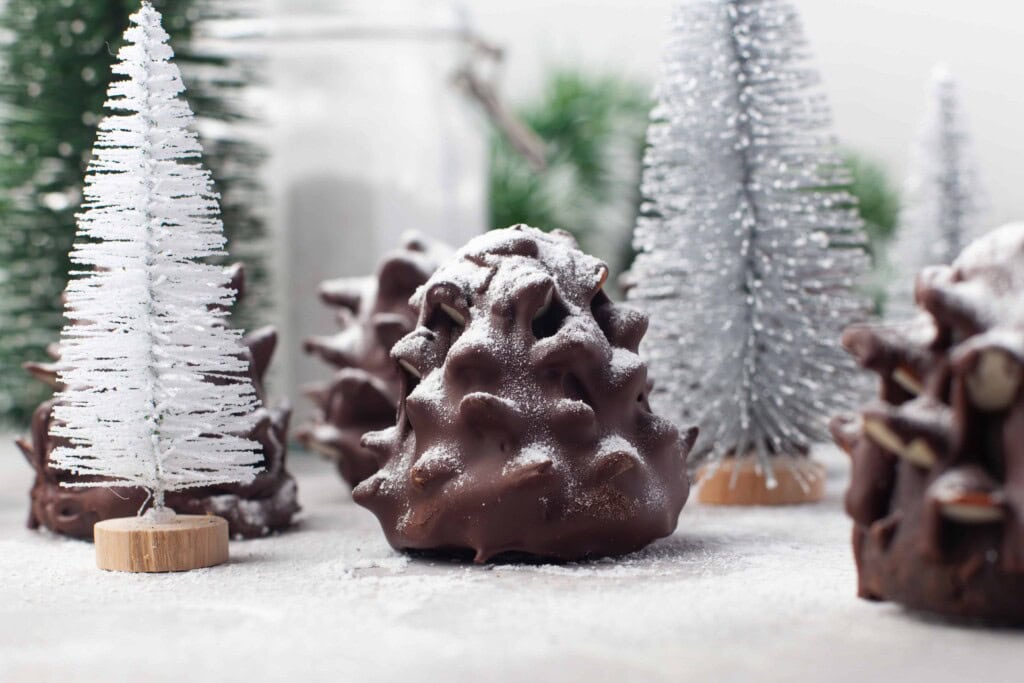 Headon view of chocolate brownie pine cone.