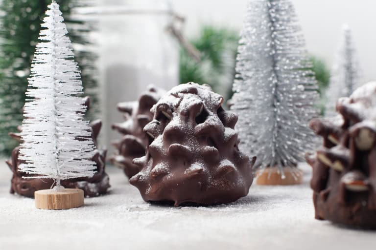 Headon view of chocolate brownie pine cone.