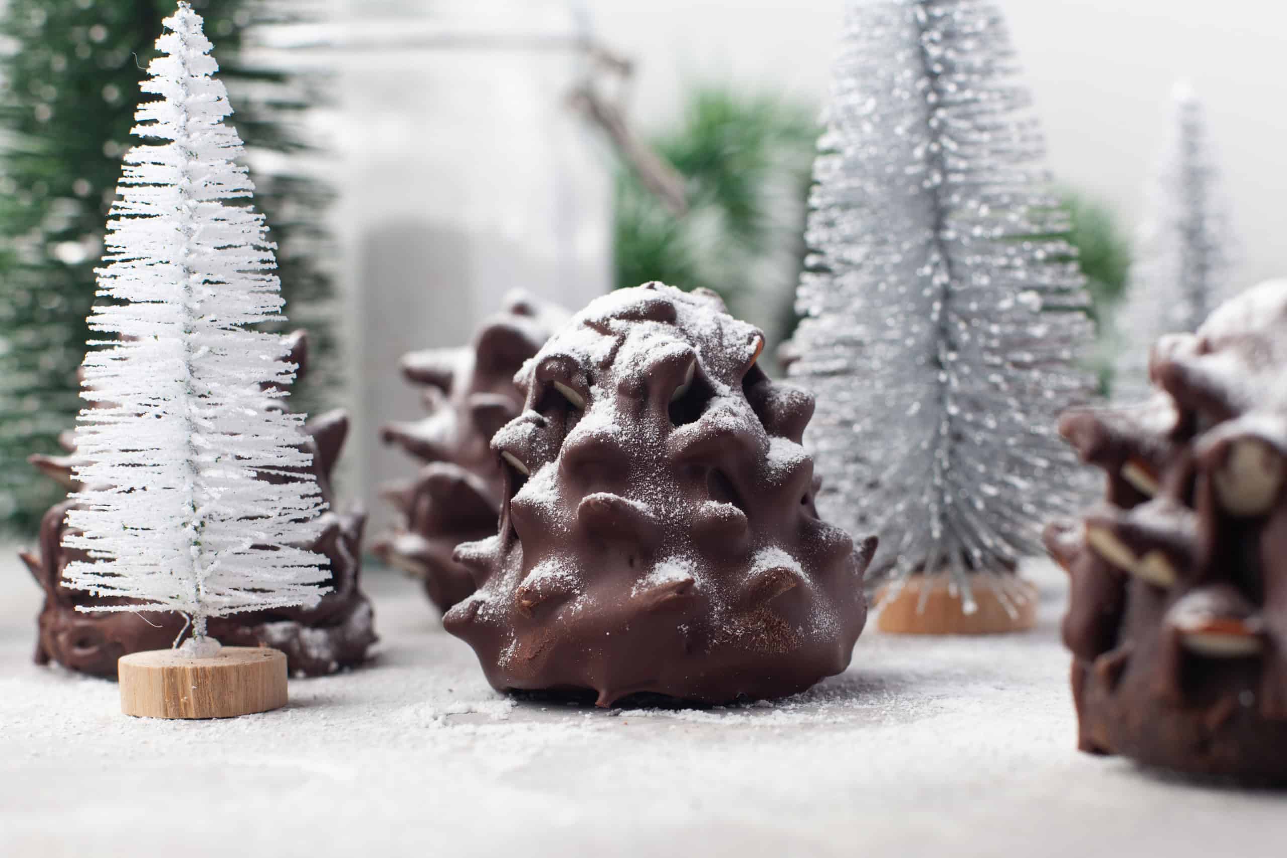 Headon view of chocolate brownie pine cone.