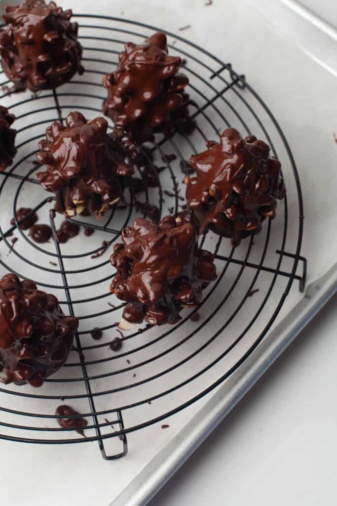 Chocolate Sauce on Pine Cone Brownies.