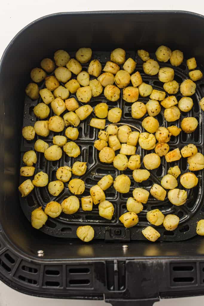 Overhead view air fryer scallops in a basket.