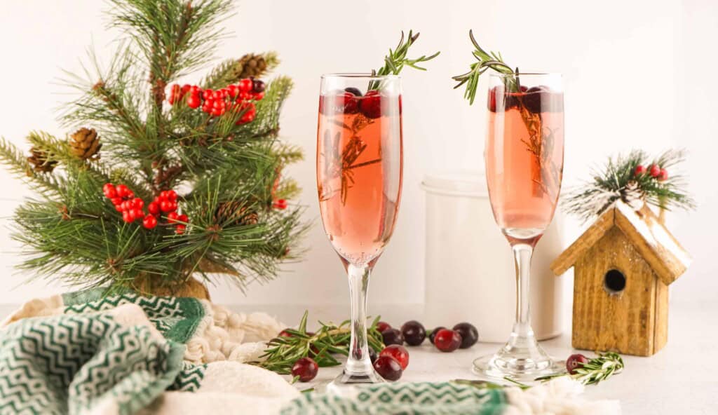 Headon view of Christmas Mimosas.