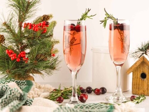 Christmas-Mimosa-500x375.jpg