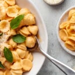 Overhead view of pasta with vodka sauce being served.