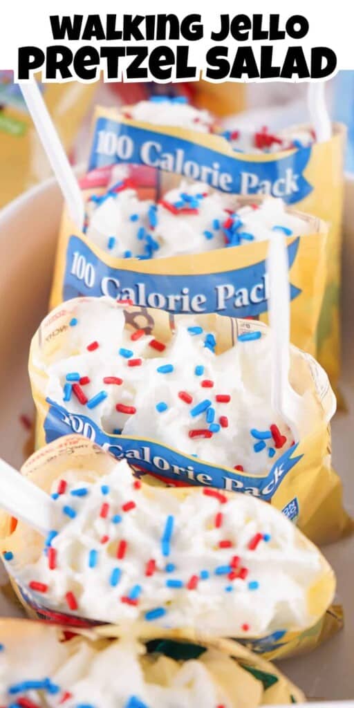 Patriotic Walking Jello Salad Pin.