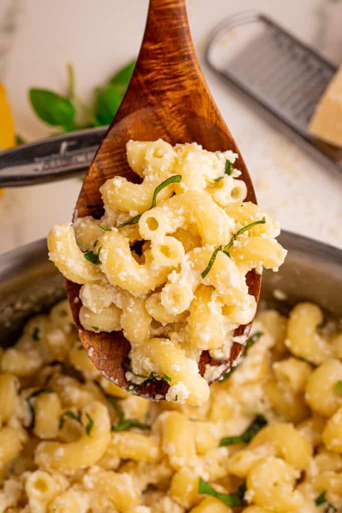 Serving spoon with Greek yogurt lemon palm pasta.