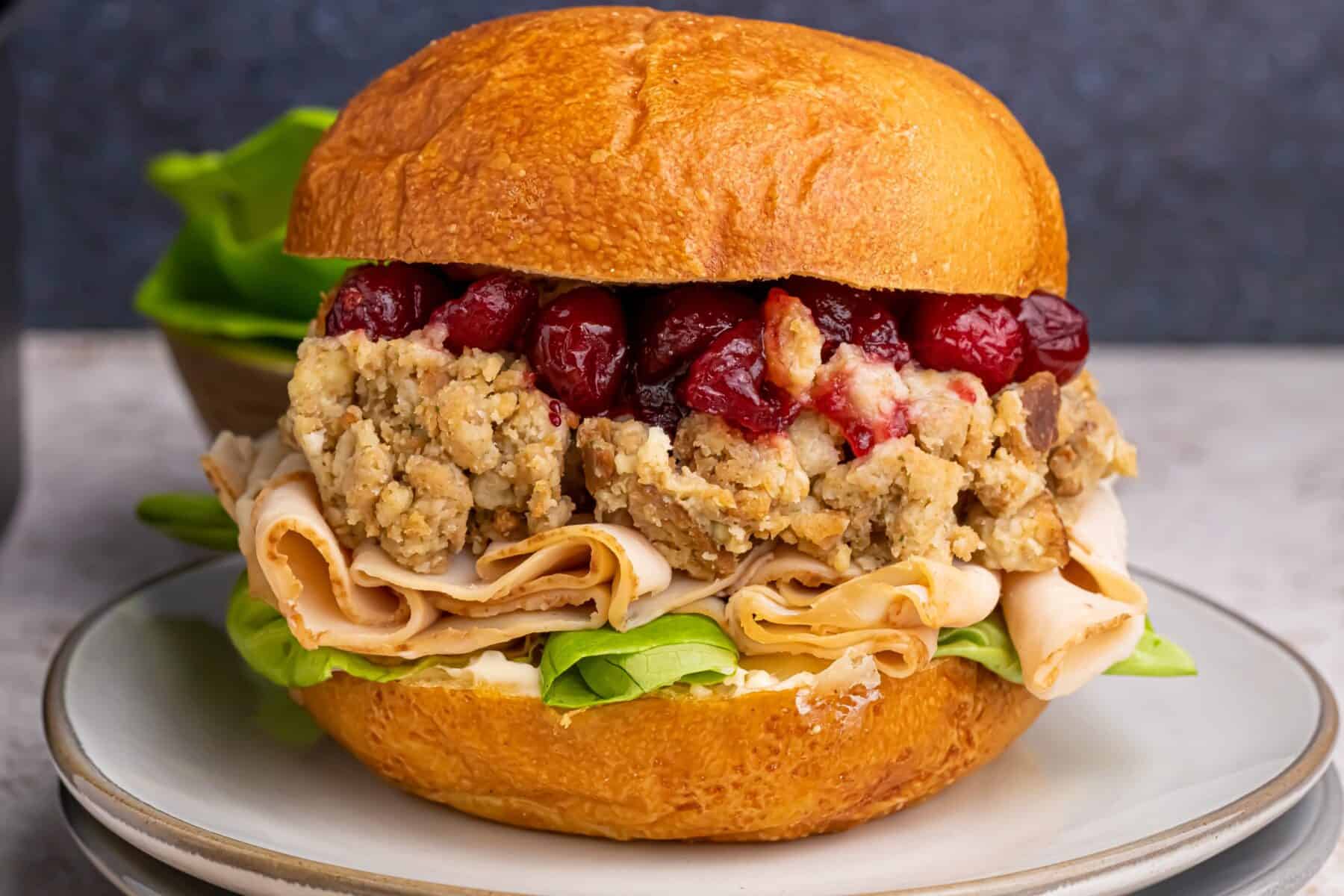 Closeup cranberry turkey stuffing sandwich. 