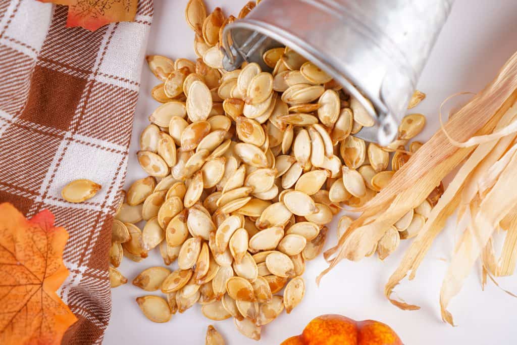 Roasted pumpkin seeds poured out of small tin bucket