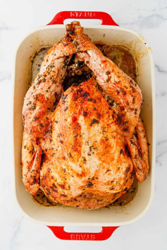 Overhead view of cooked butter turkey in red roasting pan.