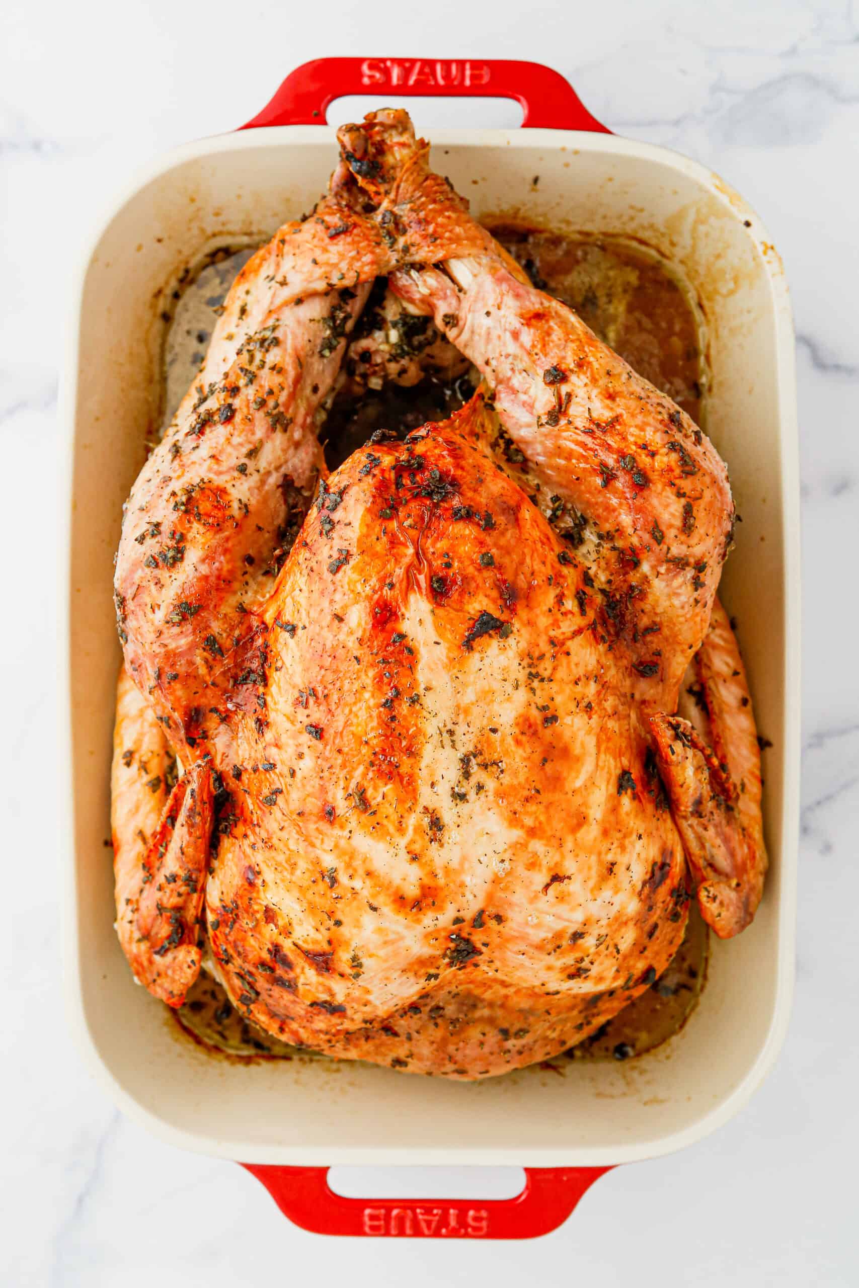 Overhead view of cooked butter turkey in red roasting pan.
