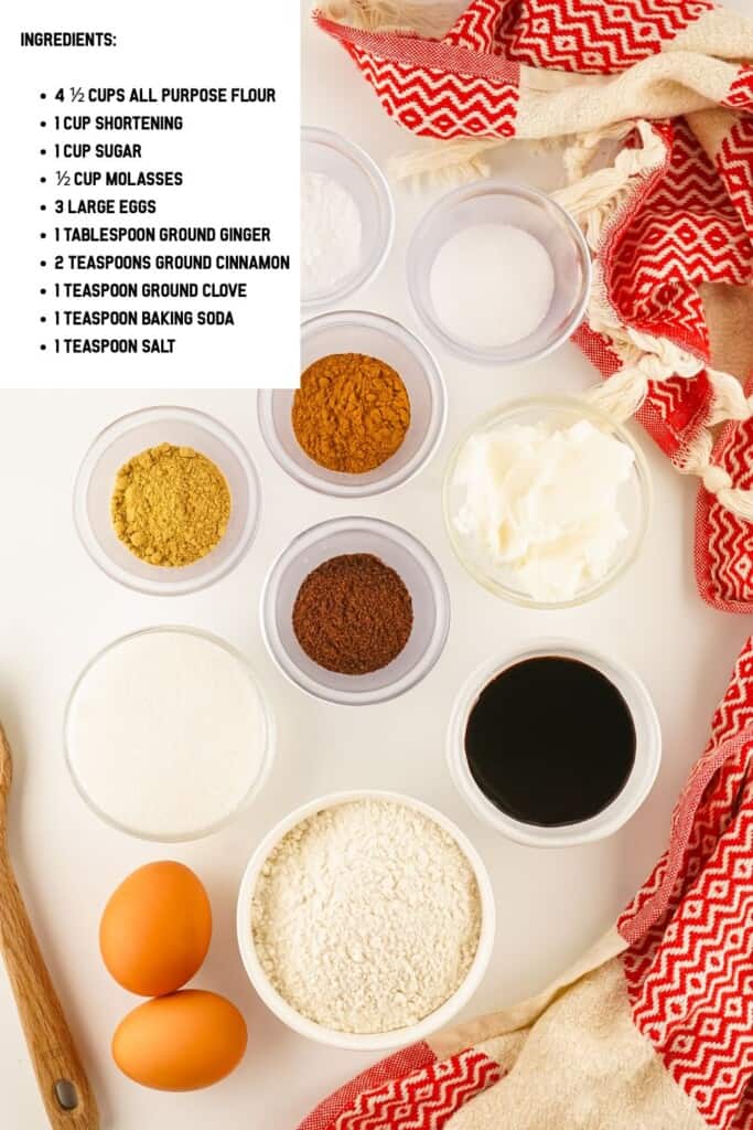 Overhead view of Gingersnap Ingredients.