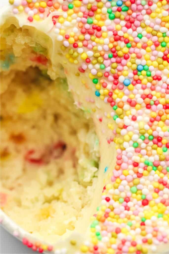 Inside a viral dot cake showing the funfetti crumb