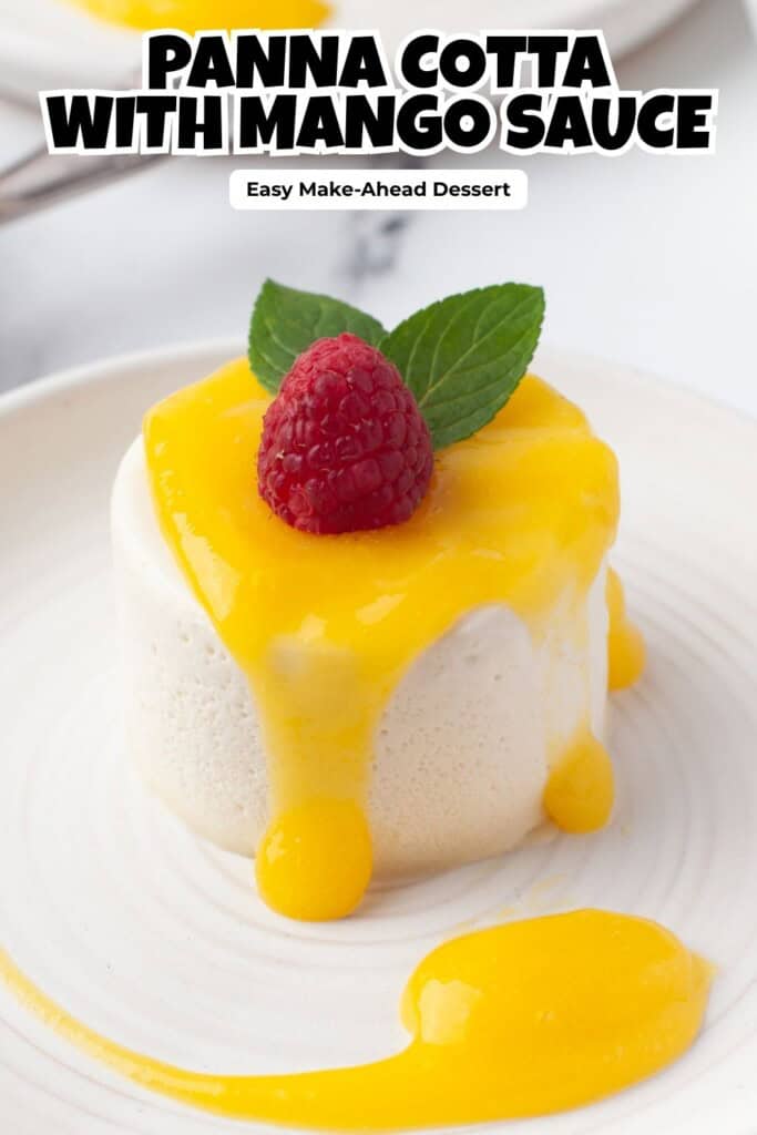 Panna Cotta with Mango Sauce on a white plate